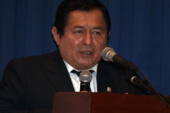 Dr. h.c. García Amado IV