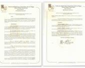 Resolución UIGV De Vicente