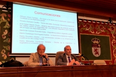 XIX Seminario Internacional de FD y DP (5 y 6-7-2018)