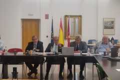 24oSeminInteruniv-Alc-117-22-9-23-7aPonencJdeVicente-moderMDiaz