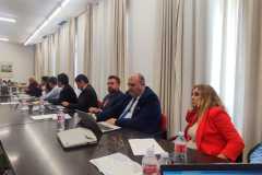 24oSeminInteruniv-Alc-123-266-9-23-publ-7aPonencJdeVicente-moderMDiaz