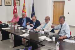 25-9-8-26oSeminInteruniv-14-3aPonFrVigano-M.Diaz_